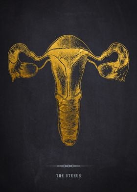 Gold Uterus Anatomy Print