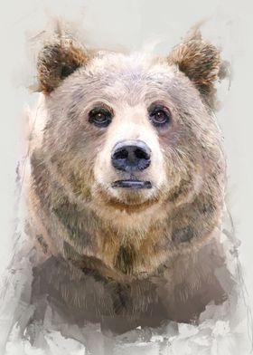 Bear Watercolor Portrait