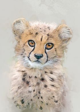 Cheetah Cub Portrait