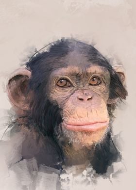 Chimpanzee Portrait