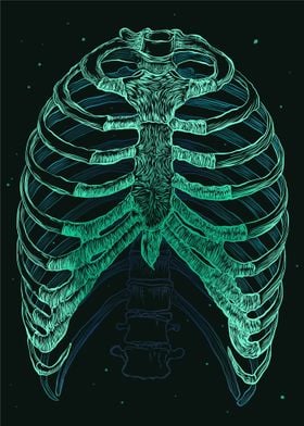 The Magical Rib Cage