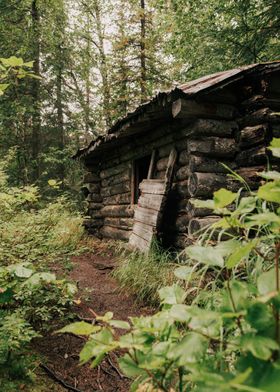 Log Cabin in the Woods