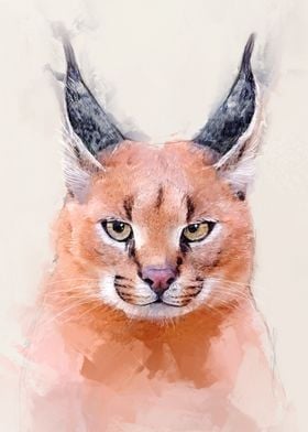 Caracal Portrait