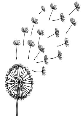 Dandelion Seeds