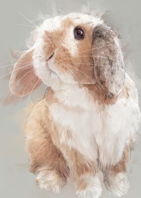 Cute Bunny Portrait 2