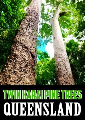 Twin Karai Pine Trees