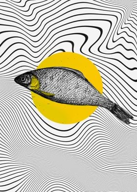 Fish in Wavy Lines