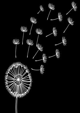 Dandelion Seeds