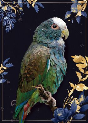 White-crowned parrot