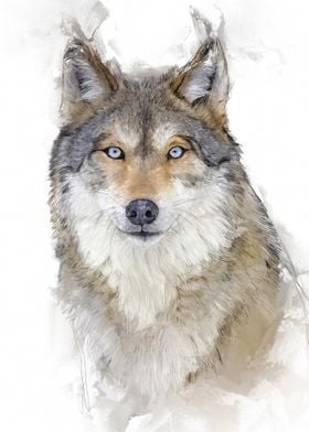 Wolf Portrait Watercolor