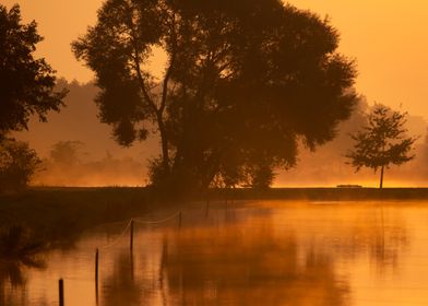 Misty Lake Sunrise