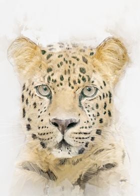 Leopard Portrait Watercolor