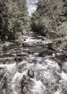 Rushing River in Forest landscape nature