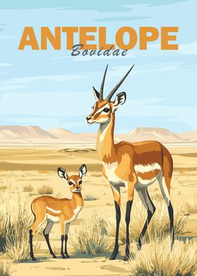 Antelope Family in Desert