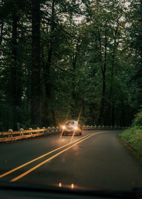 Headlights in the Forest