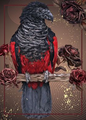 Dracula parrot with Roses