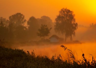 Misty Sunrise Landscape