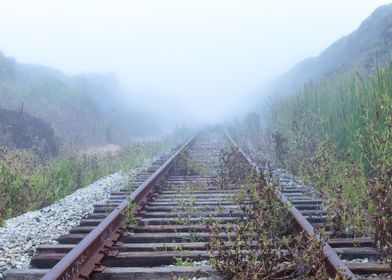 Foggy Railroad Tracks