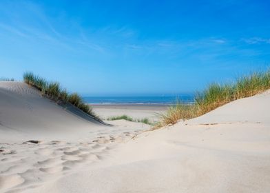 Sandy Beach View