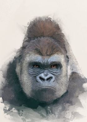 Gorilla Portrait