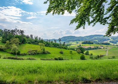 Rolling Green Hills Landscape