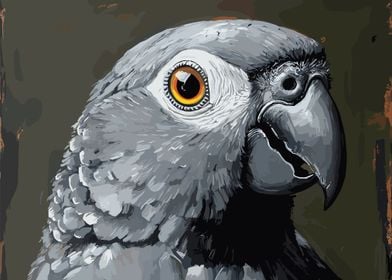 Grey Parrot Portrait