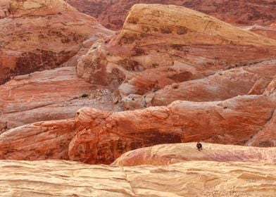 Valley Of Fire Landscape