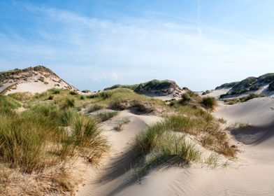 Sand Dunes Landscape