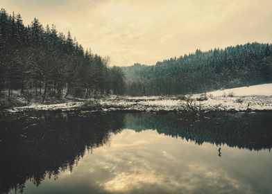 Winter Forest Reflection