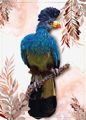 Great blue turaco