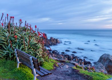 Coastal Bench at Sunrise