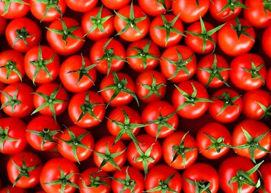 Red Tomatoes Close-Up