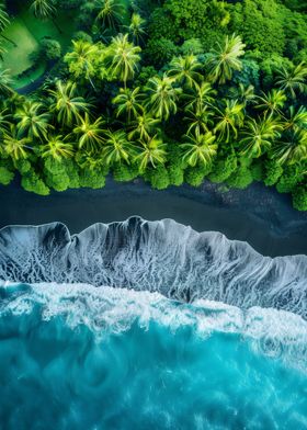 Black Sand Beach Aerial