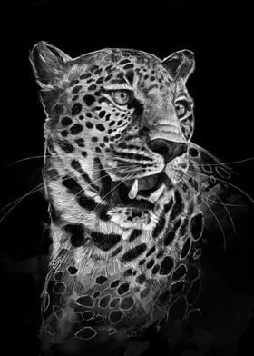 Leopard Portrait