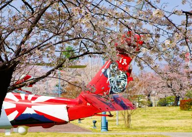 Helicopter Under Cherry Blossoms