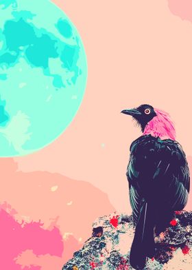 Bird and Moon