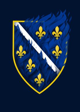 Bosnian Coat of Arms