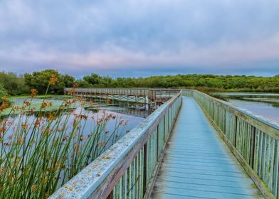 Wooden Boardwalk Over Water