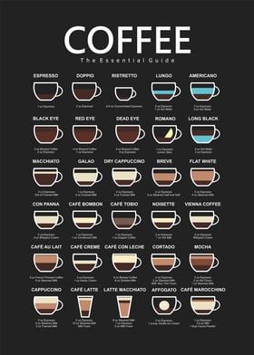 Coffee Guide: Essential Drinks