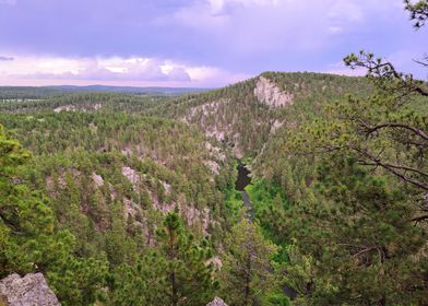 Creek Below Steep Cliffs