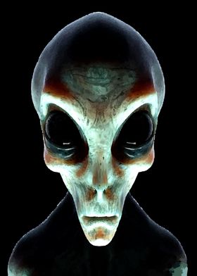 Grey Alien Portrait