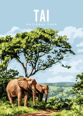 Tai National Park Poster