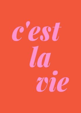 C’est La Vie Retro French Typography in Bright Orange and Pink