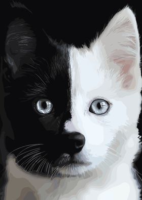 Black and White Kitten Portrait