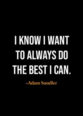 Adam Sandler Quote