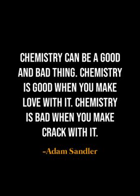 Adam Sandler quotes 