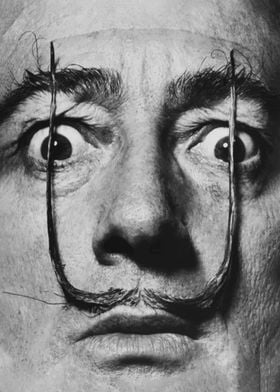 Salvador Dali Portrait