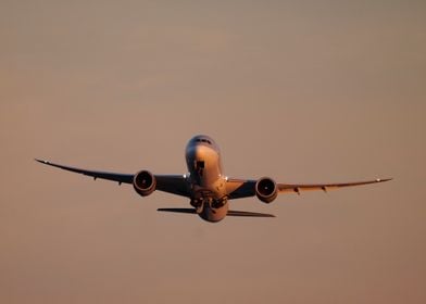 A Boeing 787 Dreamliner Taking Off