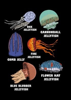 Jellyfish Types Marine Biology Gift Ocean Jellyfish