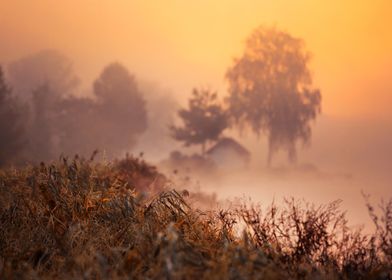 Misty Sunrise Landscape